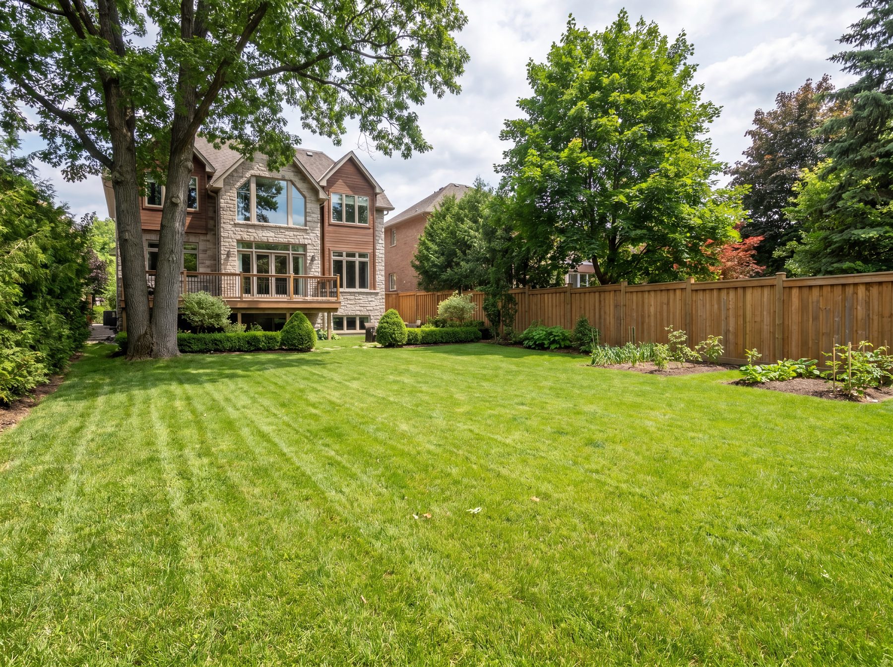 Customer's yard before