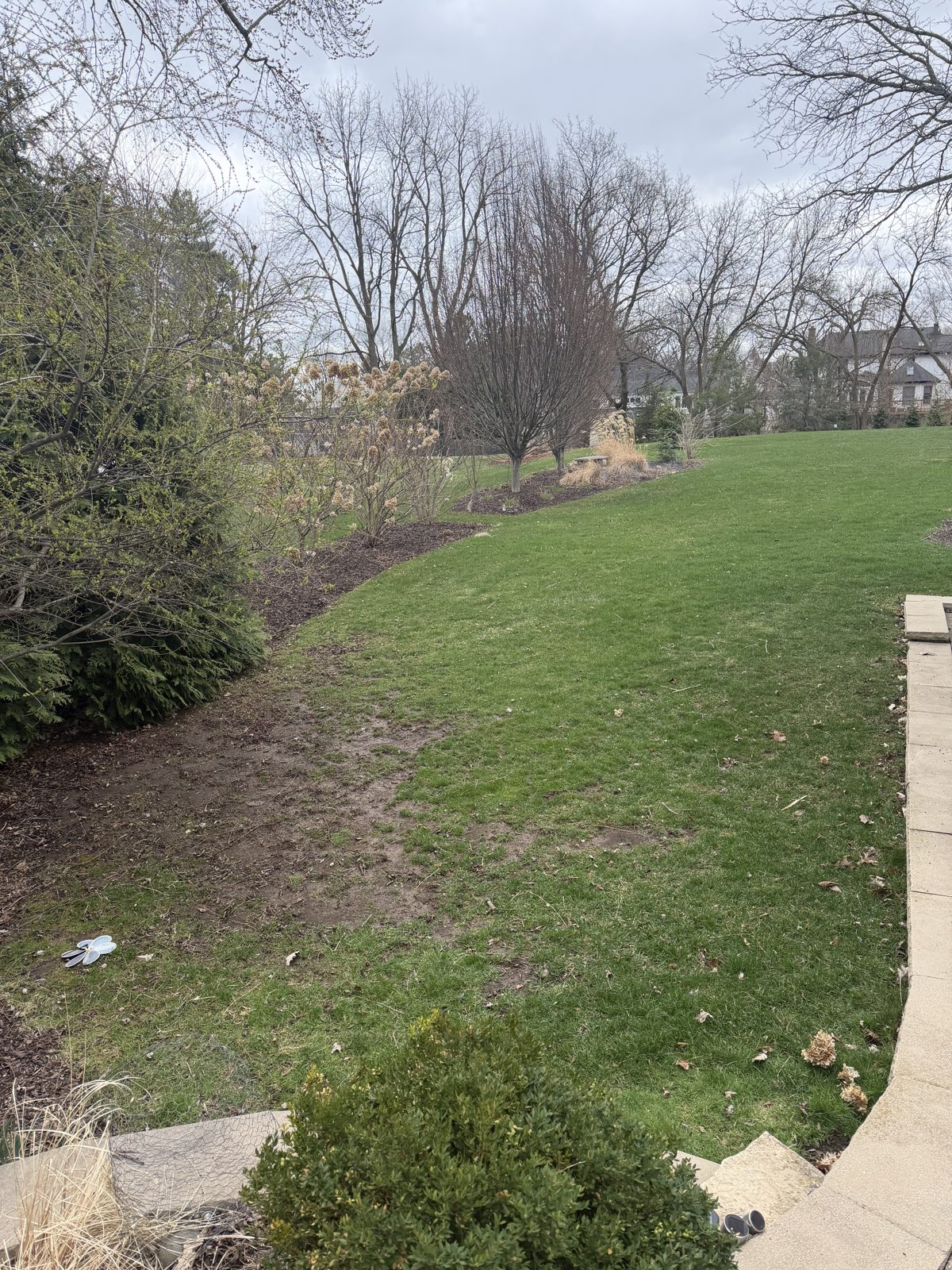 Backyard before fiberglass pool