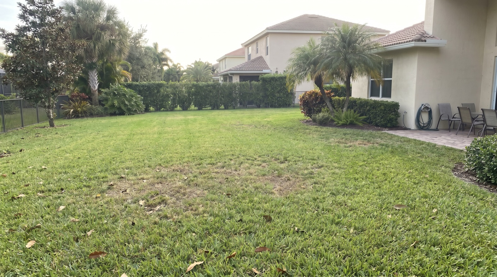 Backyard before pool installation